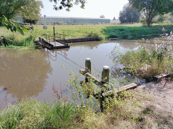 Scholtenskanaal, voetveer Klazienaveen