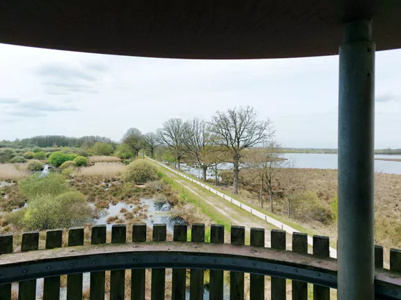 Fochteloërveen, uitkijktoren Esmeerweg