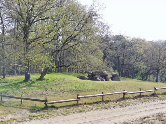 Steenbergen, hunebed D1