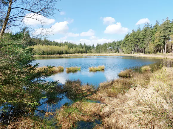 Landgoed De Slotplaats