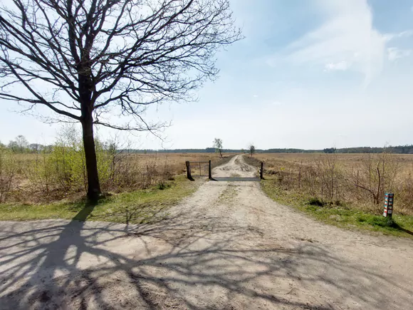 Duurswouderheide