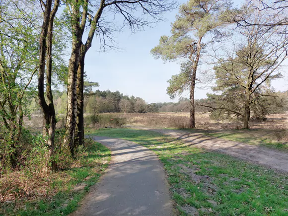 Haulerveld, Blauwe Bos