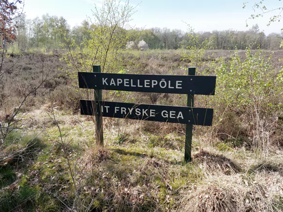 Wijnjewoude, Jan Hofswijk, Kapellepôle