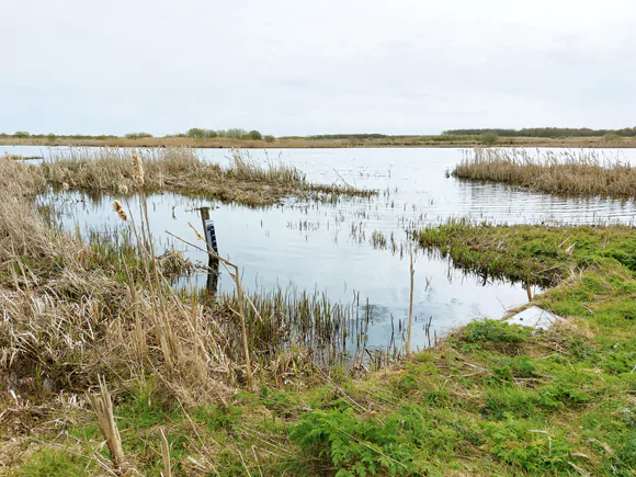 Fochteloërveen / Fochteloërveld