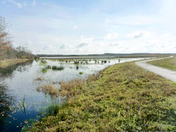 Fochteloërveen