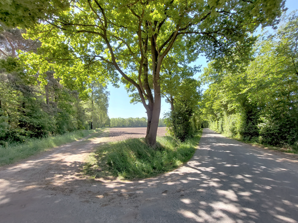 Stadtlohn, Hundewick, Knotenpunkt 20