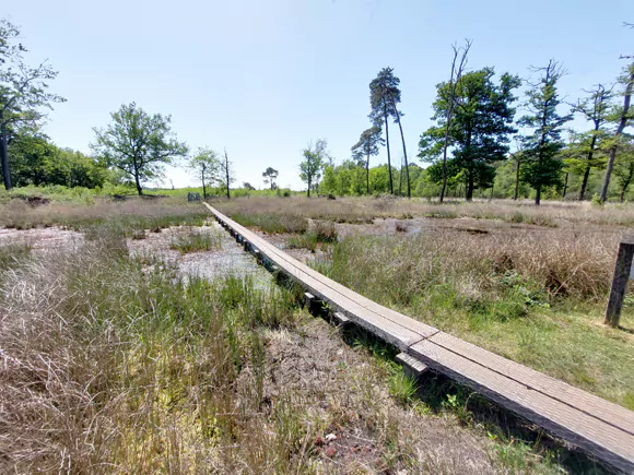 plankenpad Wooldse Veen