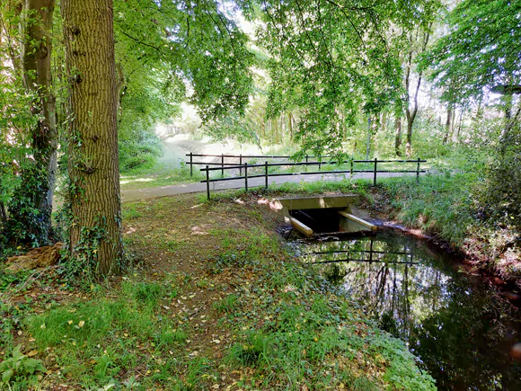 Scholtegoed Lammers, Dambeek