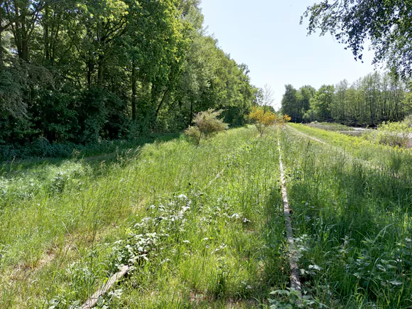 voormalige spoorbaan Borkense Baan