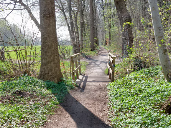 Nuis, Coendersbos