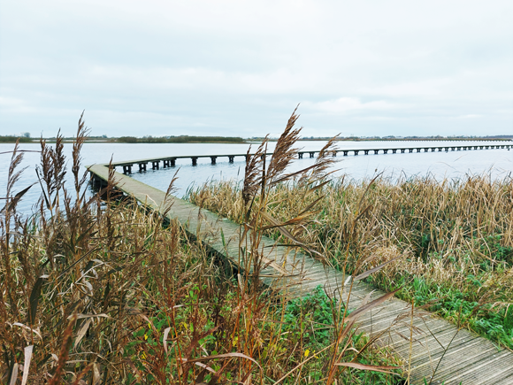 Dannemeer en knuppelpad