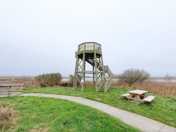 't Roegwold, Westerpolder, uitkijktoren