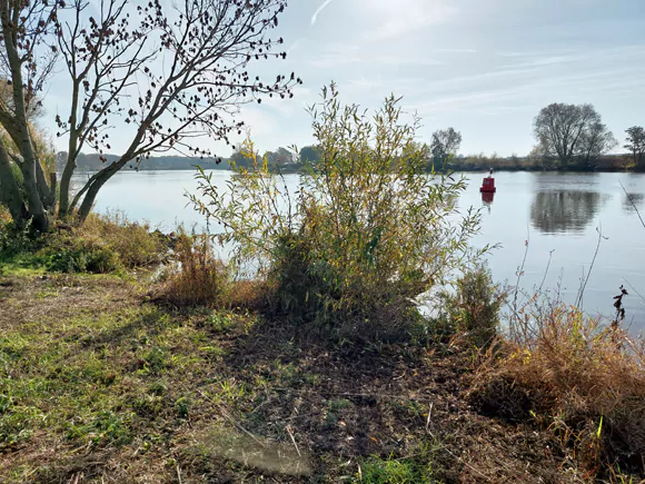 de Maas tussen Wellerlooi en Well