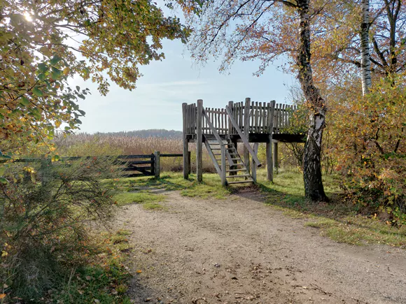 Uitzichtpunt Nieuwe Heerenven