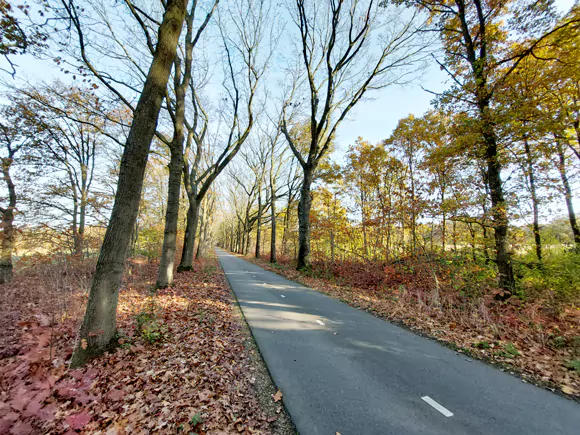 Wellerlooi, Twistedenerweg