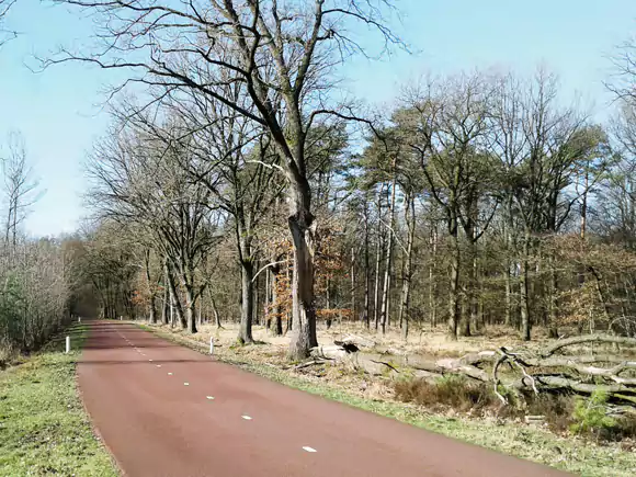 Herkenbosch, fietspad Meinweg