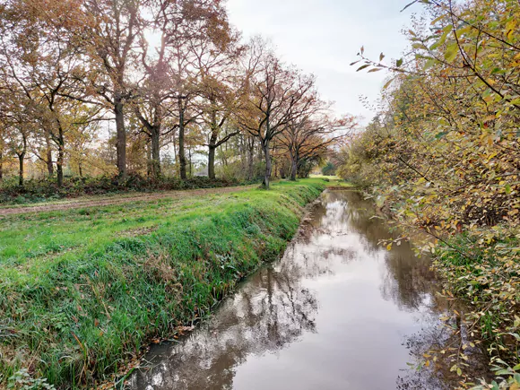 Hegelsom, 't Ham, Groote Molenbeek