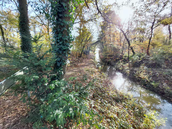 Arcen, Lingsforterbeek