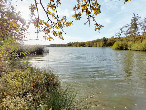 natuurgebied Zwart Water, Venkoelen
