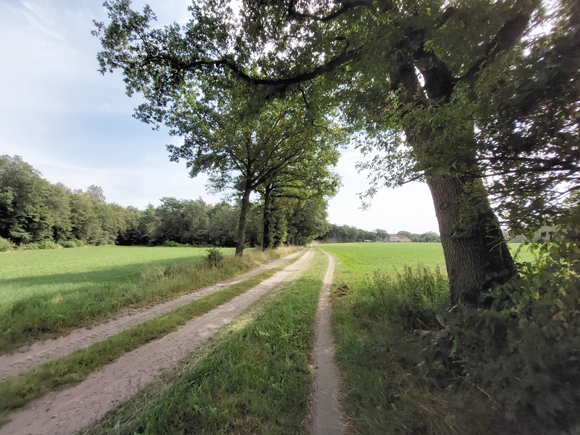 Heeten, Molenbeltsweg