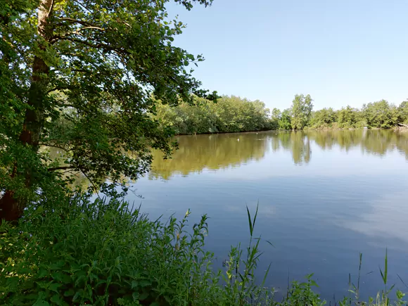 Herxen, natuurreservaat Tichelgaten