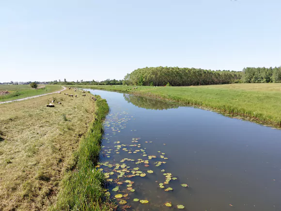 Soestwetering ten oosten van Windesheim