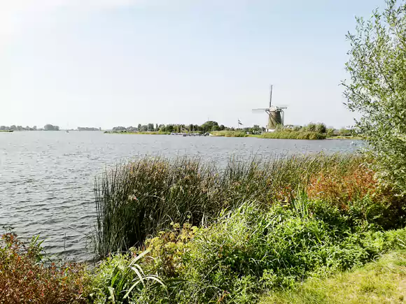 Roelofarendsveen, Wijde Aa