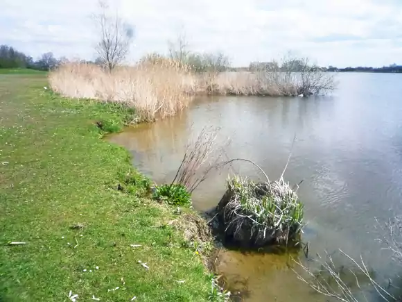 Noordwijkerhout, Oostduinse Meer