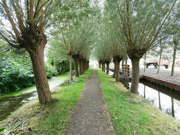 Zoeterwoude, Gelderswoudse Kerkpad