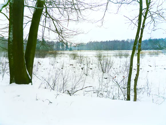Meeuwenplas ten noorden van Oosthalen