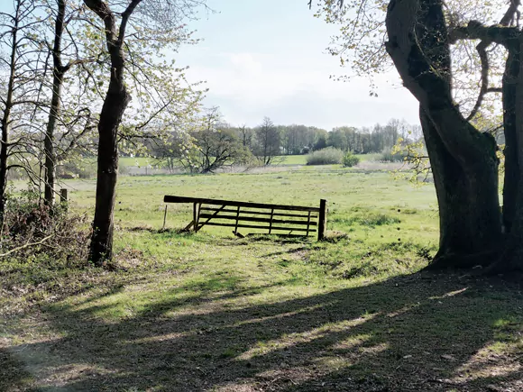 Alteveerse Bos