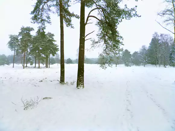 Lheebroekerzand, bij het Groote Veen