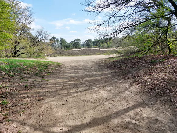 Bakkeveense Duinen, zandvlakte