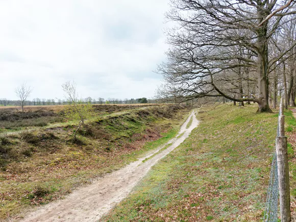 holle weg bij Allardsoog / Allardseach