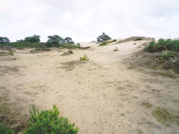 Aekingerzand of Kale Duinen