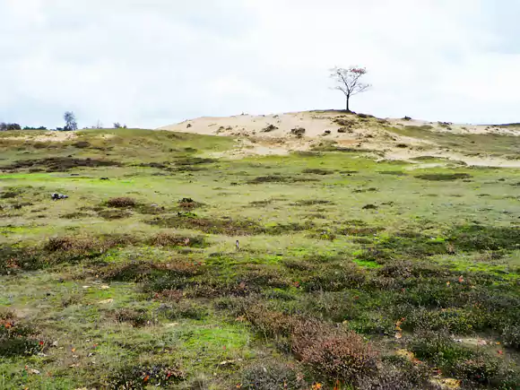 Aekingerzand of Kale Duinen