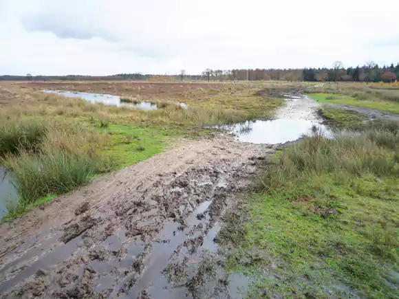 ten zuiden van de Grenspoel