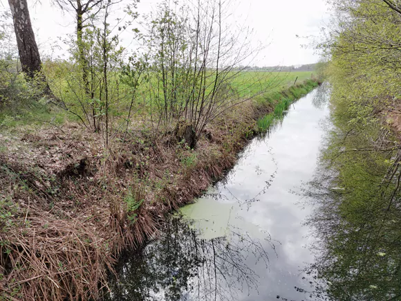 De Wiek / Wijk, zijkanaal veenwinning