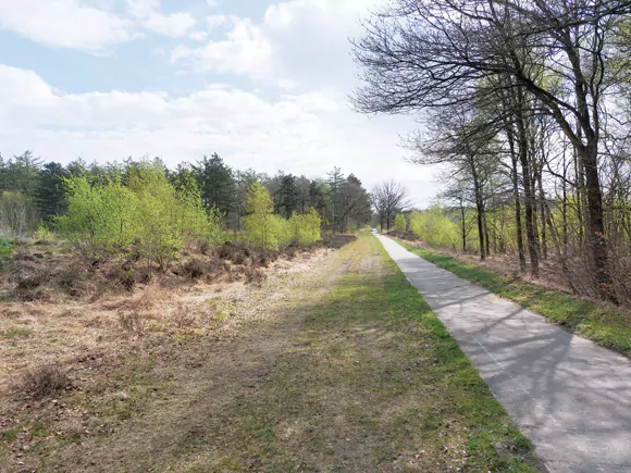westelijk deel Haulerveld