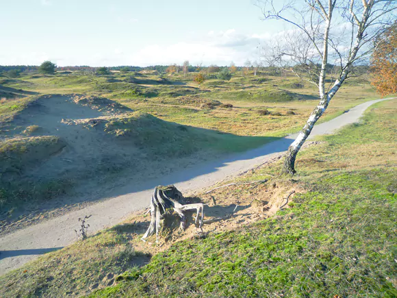 Aekingerzand