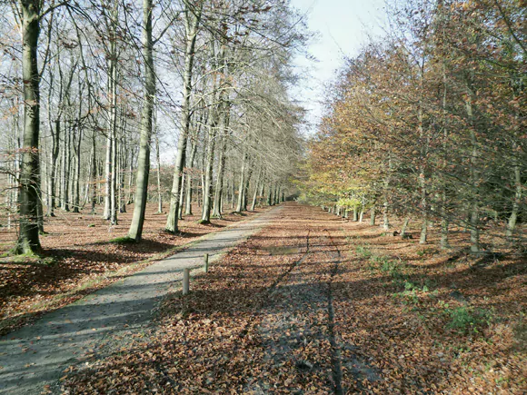 ten oosten van Aekingerbroek