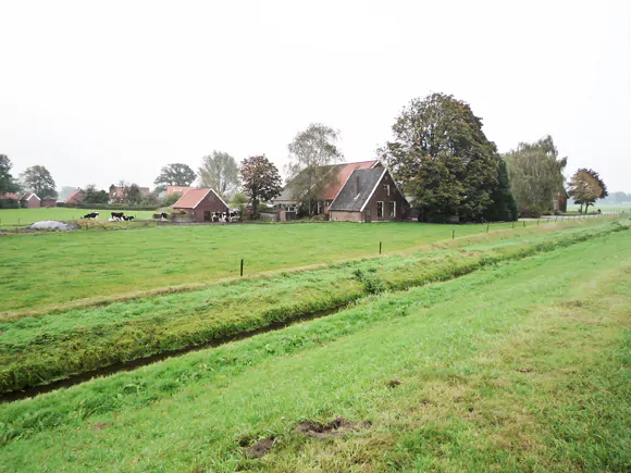 het Loo, zuid van Mallem