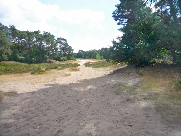 Otterlose Buurtbos Zuid