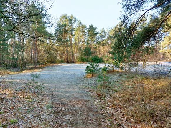 landgoed Vierschoten, bij het circuit
