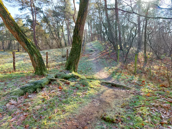 Oldebroek, noord van de  Vierschotenweg
