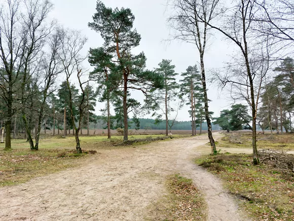 waterwingebied Wezepsche Heide