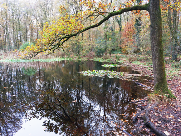 natuurgebied Appèlbergen, pingoruïne