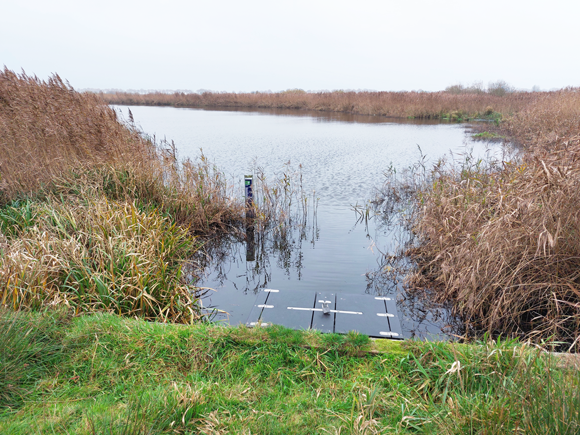 natuurgebied Ae's Woudbloem