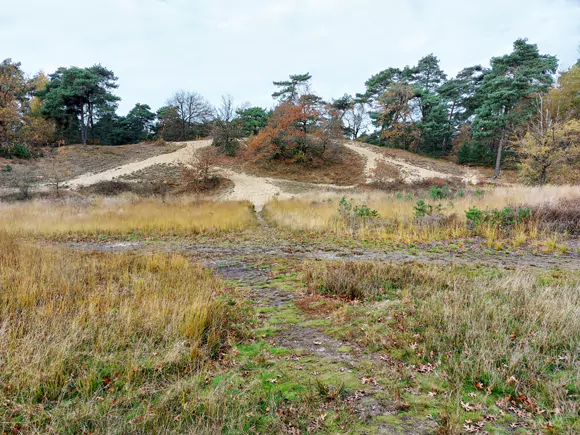 de Witte Berg (35,1m)