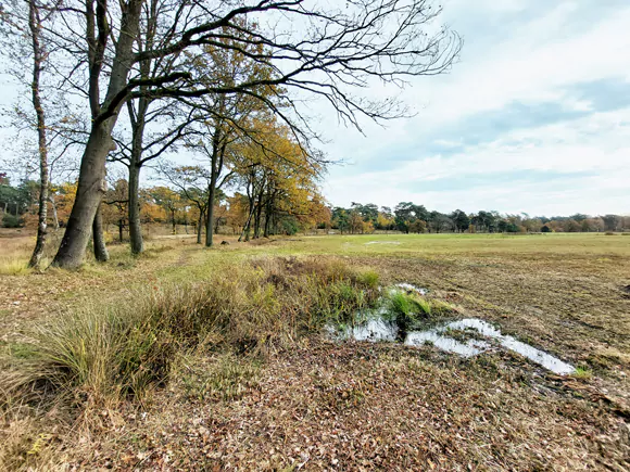Lomm, Lommerheiveldweg
